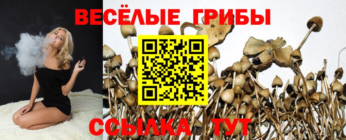 Псилоцибиновые грибы Magic Shrooms Большой Камень