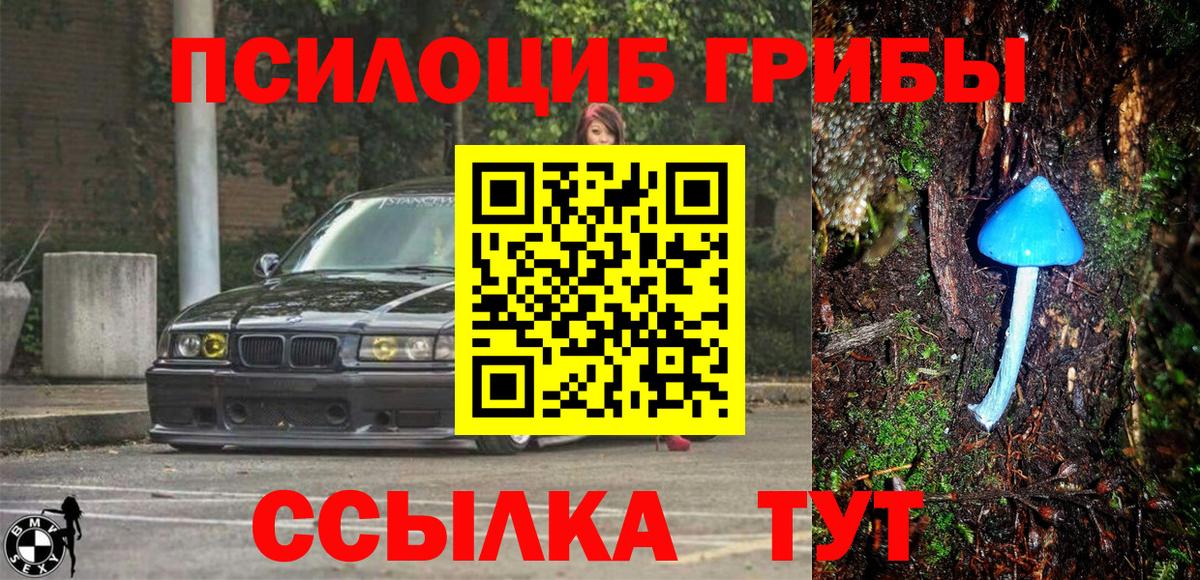 Большой Камень  купить закладку  Вход с VPN  Галлюциногенные грибы Psilocybine cubensis 